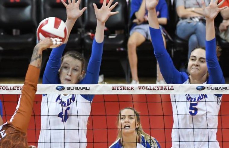 Image of Volley Ball Players While Playing in the Ground